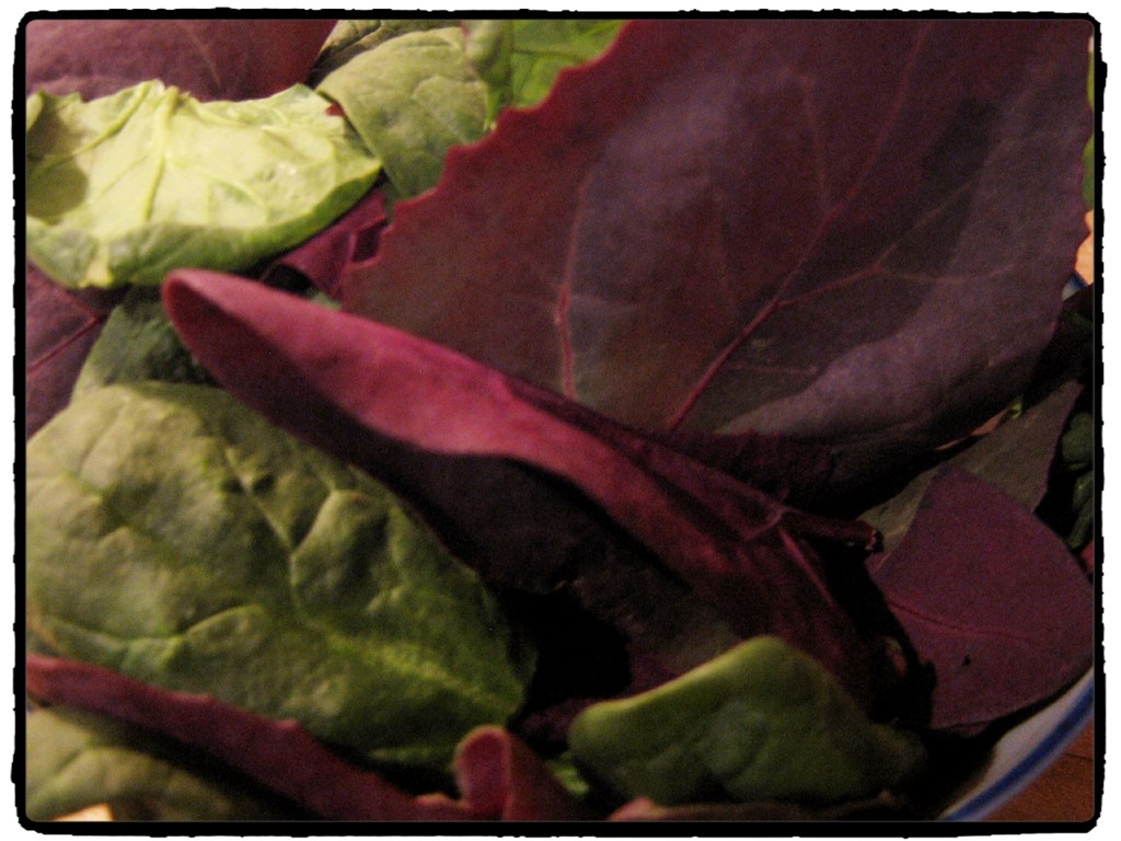 Heirloom Spinach - Vegetables - Undercover Chef - Nicolette Felix